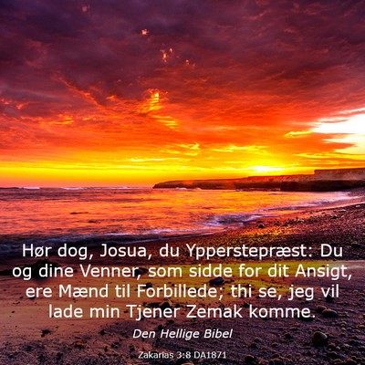 Picture 03 - Zakarias 3:8 DA1871 - Hør dog, Josua, du Ypperstepræst: Du og dine - Bible Verse Picture