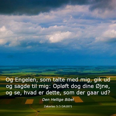 Picture 03 - Zakarias 5:5 DA1871 - Og Engelen, som talte med mig, gik ud og sagde - Bible Verse Picture