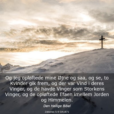 Picture 03 - Zakarias 5:9 DA1871 - Og jeg opløftede mine Øjne og saa, og se, to - Bible Verse Picture