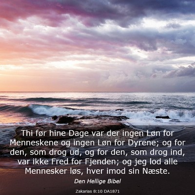 Picture 03 - Zakarias 8:10 DA1871 - Thi før hine Dage var der ingen Løn for - Bible Verse Picture