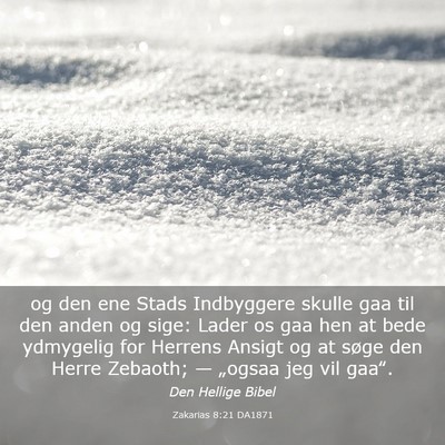 Picture 03 - Zakarias 8:21 DA1871 - og den ene Stads Indbyggere skulle gaa til den - Bible Verse Picture