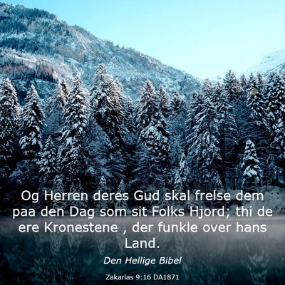 Picture 03 - Zakarias 9:16 DA1871 - Og Herren deres Gud skal frelse dem paa den Dag - Bible Verse Picture