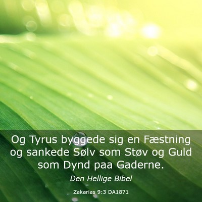 Picture 03 - Zakarias 9:3 DA1871 - Og Tyrus byggede sig en Fæstning og sankede - Bible Verse Picture