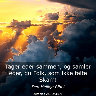 Picture 03 - Zefanias 2:1 DA1871 - Tager eder sammen, og samler eder, du Folk, som - Bible Verse Picture