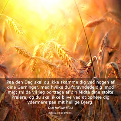 Picture 03 - Zefanias 3:11 DA1871 - Paa den Dag skal du ikke skamme dig ved nogen af - Bible Verse Picture