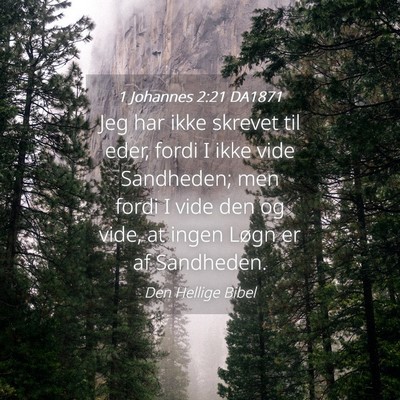 Picture 04 - 1 Johannes 2:21 DA1871 - Jeg har ikke skrevet til eder, fordi I ikke vide - Bible Verse Picture