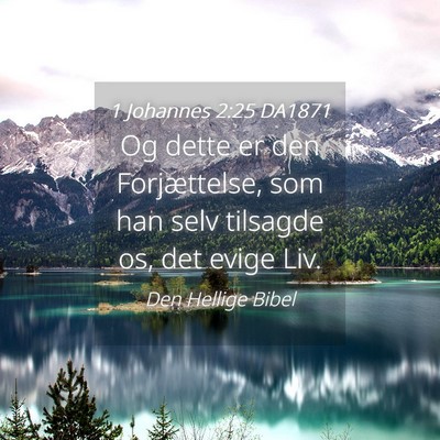 Picture 04 - 1 Johannes 2:25 DA1871 - Og dette er den Forjættelse, som han selv - Bible Verse Picture