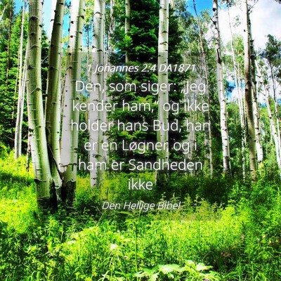 Picture 04 - 1 Johannes 2:4 DA1871 - Den, som siger: „Jeg kender ham,“ og ikke - Bible Verse Picture