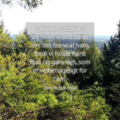 Picture 04 - 1 Johannes 3:22 DA1871 - og hvad vi end bede om, det faa vi af ham, fordi - Bible Verse Picture