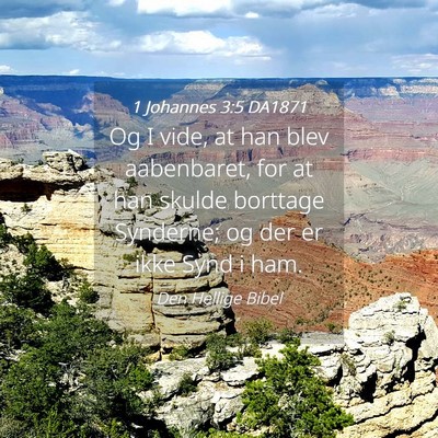 Picture 04 - 1 Johannes 3:5 DA1871 - Og I vide, at han blev aabenbaret, for at han - Bible Verse Picture
