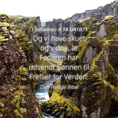 Picture 04 - 1 Johannes 4:14 DA1871 - Og vi have skuet og vidne, at Faderen har udsendt - Bible Verse Picture