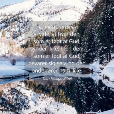 Picture 04 - 1 Johannes 5:18 DA1871 - Vi vide, at hver den, som er født af Gud, synder - Bible Verse Picture