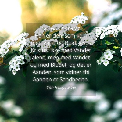 Picture 04 - 1 Johannes 5:6 DA1871 - Han er den, som kom med Vand og Blod, Jesus - Bible Verse Picture