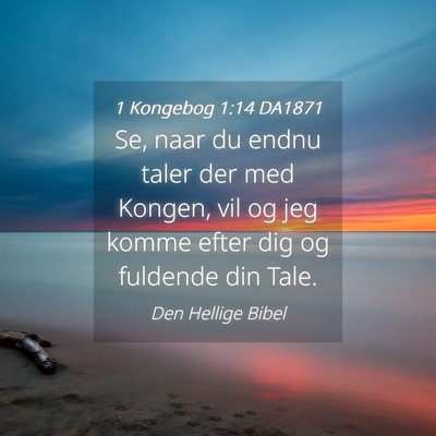 Picture 04 - 1 Kongebog 1:14 DA1871 - Se, naar du endnu taler der med Kongen, vil og - Bible Verse Picture