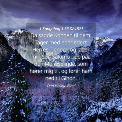 Picture 04 - 1 Kongebog 1:33 DA1871 - Da sagde Kongen til dem: Tager med eder eders - Bible Verse Picture