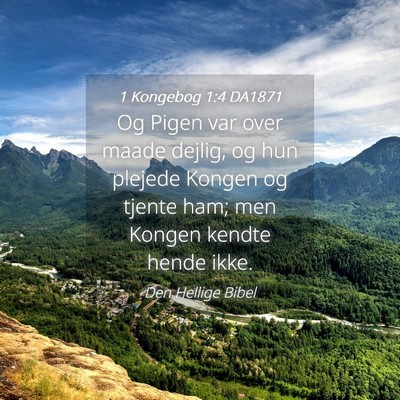 Picture 04 - 1 Kongebog 1:4 DA1871 - Og Pigen var over maade dejlig, og hun plejede - Bible Verse Picture