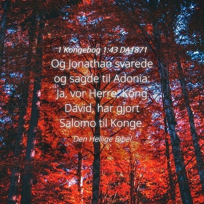Picture 04 - 1 Kongebog 1:43 DA1871 - Og Jonathan svarede og sagde til Adonia: Ja, vor - Bible Verse Picture
