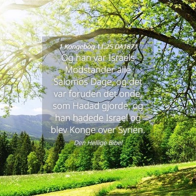 Picture 04 - 1 Kongebog 11:25 DA1871 - Og han var Israels Modstander alle Salomos Dage, - Bible Verse Picture