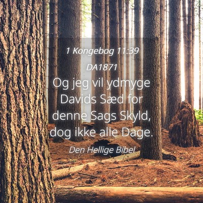 Picture 04 - 1 Kongebog 11:39 DA1871 - Og jeg vil ydmyge Davids Sæd for denne Sags - Bible Verse Picture