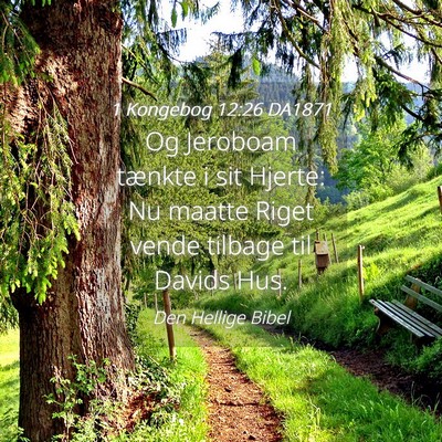Picture 04 - 1 Kongebog 12:26 DA1871 - Og Jeroboam tænkte i sit Hjerte: Nu maatte Riget - Bible Verse Picture