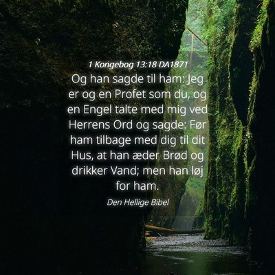 Picture 04 - 1 Kongebog 13:18 DA1871 - Og han sagde til ham: Jeg er og en Profet som du, - Bible Verse Picture