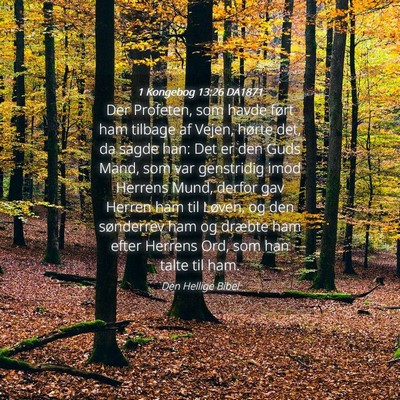 Picture 04 - 1 Kongebog 13:26 DA1871 - Der Profeten, som havde ført ham tilbage af - Bible Verse Picture