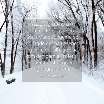 Picture 04 - 1 Kongebog 13:29 DA1871 - Da tog Profeten den Guds Mands Legeme op og lagde - Bible Verse Picture