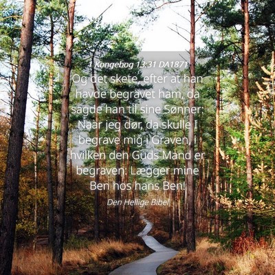 Picture 04 - 1 Kongebog 13:31 DA1871 - Og det skete, efter at han havde begravet ham, da - Bible Verse Picture