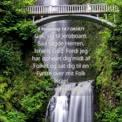 Picture 04 - 1 Kongebog 14:7 DA1871 - Gak, sig til Jeroboam: Saa sagde Herren, Israels - Bible Verse Picture