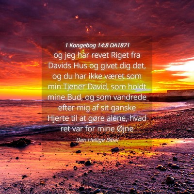 Picture 04 - 1 Kongebog 14:8 DA1871 - og jeg har revet Riget fra Davids Hus og givet - Bible Verse Picture