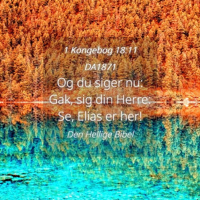 Picture 04 - 1 Kongebog 18:11 DA1871 - Og du siger nu: Gak, sig din Herre: Se, Elias er - Bible Verse Picture