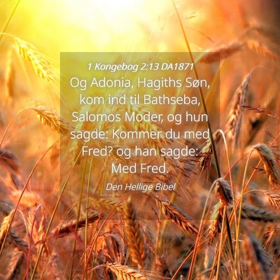 Picture 04 - 1 Kongebog 2:13 DA1871 - Og Adonia, Hagiths Søn, kom ind til Bathseba, - Bible Verse Picture