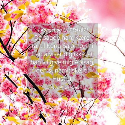 Picture 04 - 1 Kongebog 2:17 DA1871 - Da sagde han: Kære, tal til Kong Salomo, thi han - Bible Verse Picture