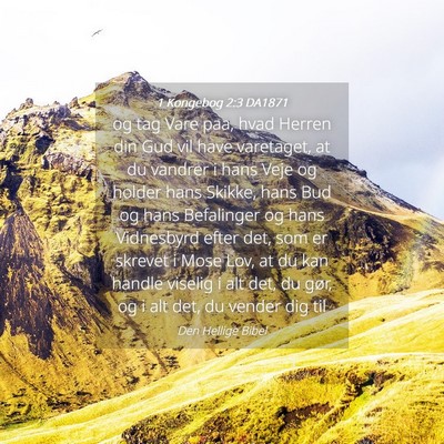 Picture 04 - 1 Kongebog 2:3 DA1871 - og tag Vare paa, hvad Herren din Gud vil have - Bible Verse Picture