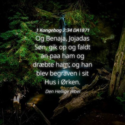 Picture 04 - 1 Kongebog 2:34 DA1871 - Og Benaja, Jojadas Søn, gik op og faldt an paa - Bible Verse Picture
