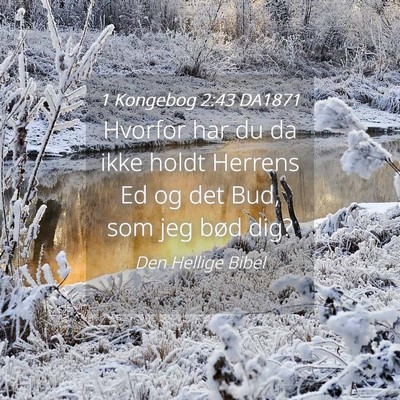 Picture 04 - 1 Kongebog 2:43 DA1871 - Hvorfor har du da ikke holdt Herrens Ed og det - Bible Verse Picture