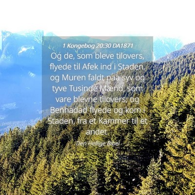 Picture 04 - 1 Kongebog 20:30 DA1871 - Og de, som bleve tilovers, flyede til Afek ind i - Bible Verse Picture