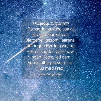 Picture 04 - 1 Kongebog 22:17 DA1871 - Da sagde han: Jeg saa al Israel adspredt paa - Bible Verse Picture