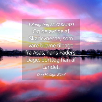 Picture 04 - 1 Kongebog 22:47 DA1871 - Og de øvrige af Skørlevnerne, som vare blevne - Bible Verse Picture