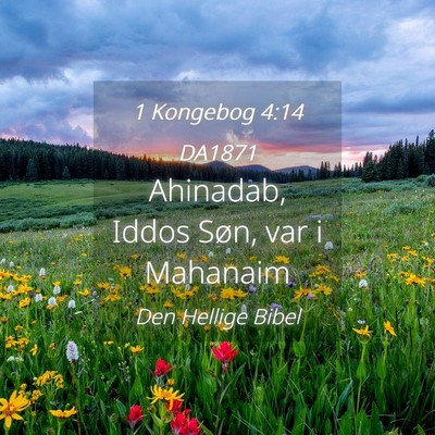 Picture 04 - 1 Kongebog 4:14 DA1871 - Ahinadab, Iddos Søn, var i - Bible Verse Picture