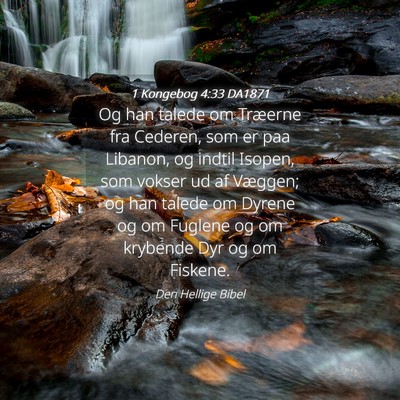 Picture 04 - 1 Kongebog 4:33 DA1871 - Og han talede om Træerne fra Cederen, som er paa - Bible Verse Picture