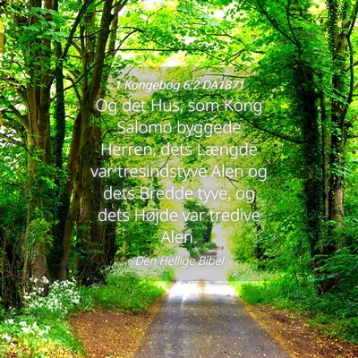 Picture 04 - 1 Kongebog 6:2 DA1871 - Og det Hus, som Kong Salomo byggede Herren, dets - Bible Verse Picture