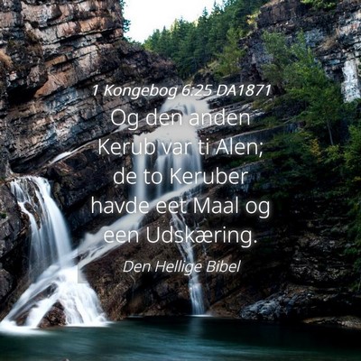 Picture 04 - 1 Kongebog 6:25 DA1871 - Og den anden Kerub var ti Alen; de to Keruber - Bible Verse Picture