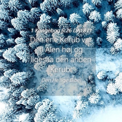 Picture 04 - 1 Kongebog 6:26 DA1871 - Den ene Kerub var ti Alen høj og ligesaa den - Bible Verse Picture