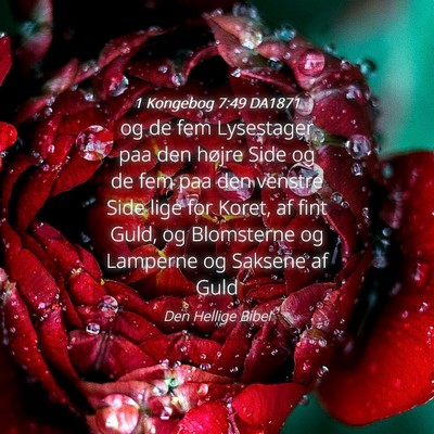 Picture 04 - 1 Kongebog 7:49 DA1871 - og de fem Lysestager paa den højre Side og de - Bible Verse Picture