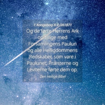 Picture 04 - 1 Kongebog 8:4 DA1871 - Og de førte Herrens Ark op tillige med - Bible Verse Picture