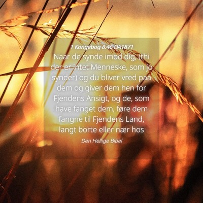 Picture 04 - 1 Kongebog 8:46 DA1871 - Naar de synde imod dig, (thi der er intet - Bible Verse Picture