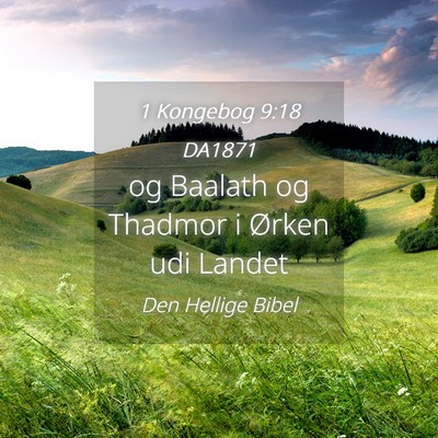 Picture 04 - 1 Kongebog 9:18 DA1871 - og Baalath og Thadmor i Ørken udi - Bible Verse Picture