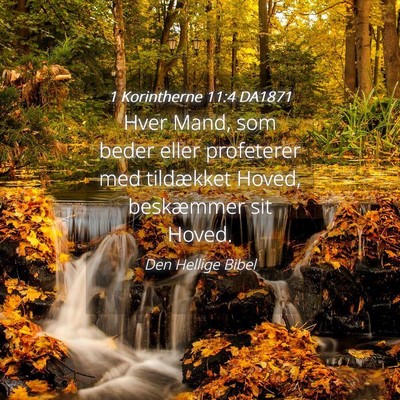 Picture 04 - 1 Korintherne 11:4 DA1871 - Hver Mand, som beder eller profeterer med - Bible Verse Picture