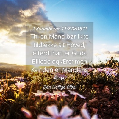 Picture 04 - 1 Korintherne 11:7 DA1871 - Thi en Mand bør ikke tildække sit Hoved, - Bible Verse Picture